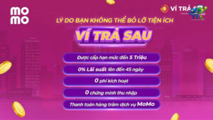 huong-dan-su-dung-vi-tra-sau-momo-2