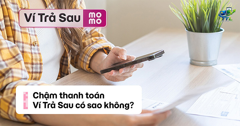phi-dich-vu-tra-sau-momo-2